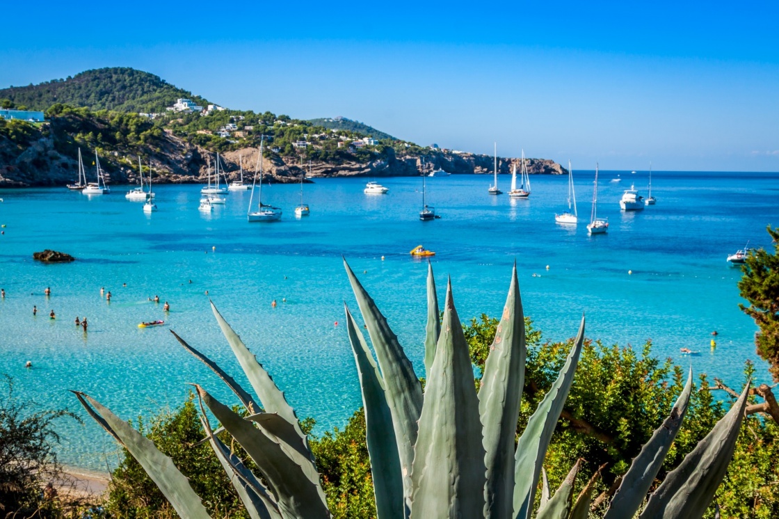 Cala Tarida in Ibiza beach San Jose at Balearic Islands